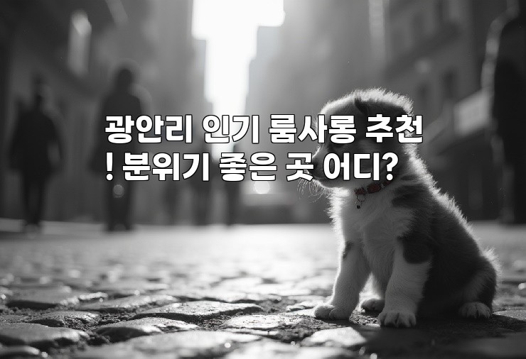 광안리 인기 룸사롱 추천! 분위기 좋은 곳 어디? 광안리 인기 룸사롱 추천! 분위기 좋은 곳 어디?