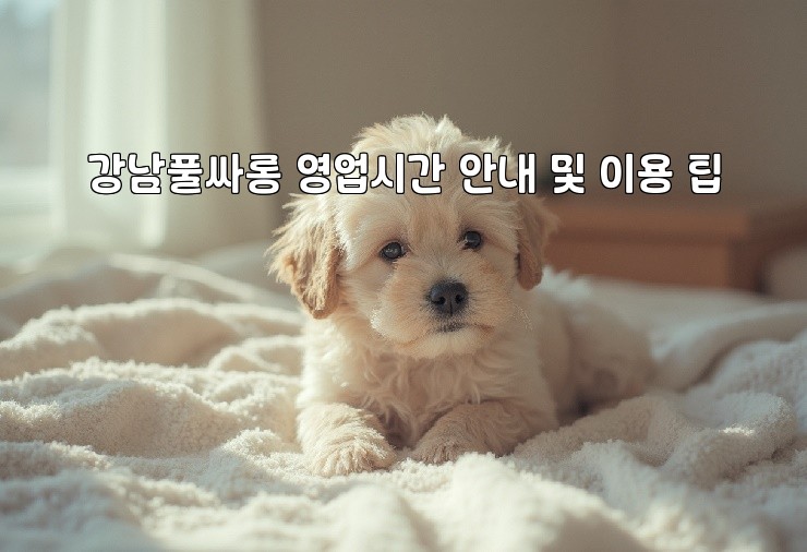 aiimg200450.jpg