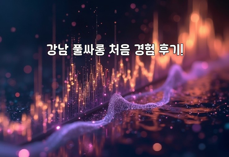 강남 풀싸롱 처음 경험 후기! 강남 풀싸롱 처음 경험 후기!